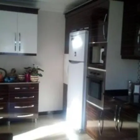 Kurt Safir Euro5