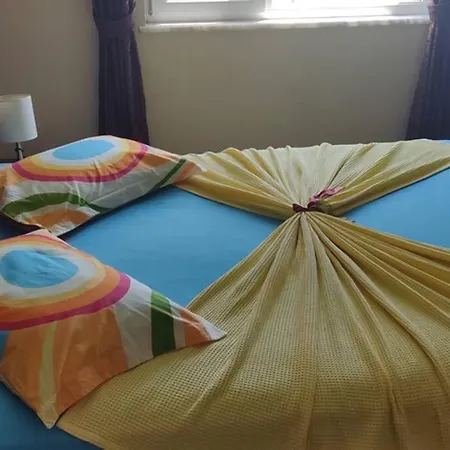 Kurt Safir Euro5 Mahmutlar
